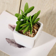 Load image into Gallery viewer, Set of 3 | 3'' Assorted Green Mini Artificial Plants with Pots
