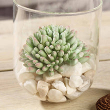 Load image into Gallery viewer, Set of 3 | 4" Mini Jelly Bean Decorative Artificial Plants
