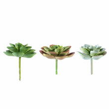 Load image into Gallery viewer, Set of 3 | 3" Echeveria Orion Decorative Artificial Plants
