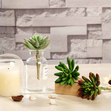 Load image into Gallery viewer, Set of 3 | 6" Spike Aeonium Decorative Artificial Plants
