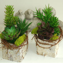 Load image into Gallery viewer, Set of 3 | 6" Spike Aeonium Decorative Artificial Plants
