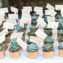 Load image into Gallery viewer, Set of 3 | 5" Assorted Cactus Artificial Plants with Pots
